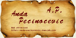 Anda Pečinoćević vizit kartica